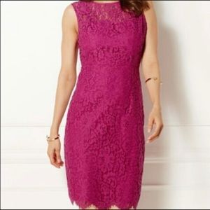 Eva Mendes/New York & Company Fuchsia Lace Dress
